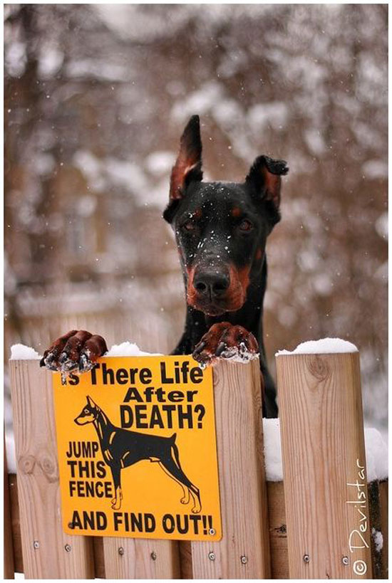 is there life after death 4730