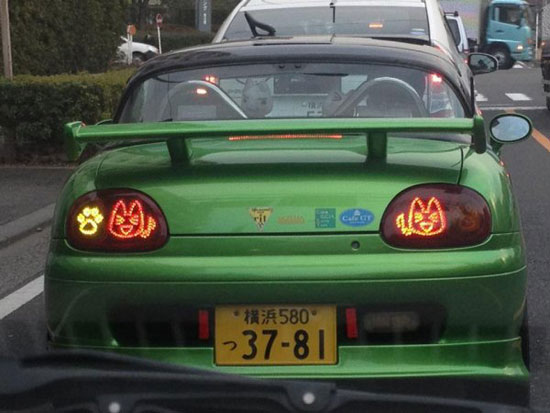 japanese blinkers