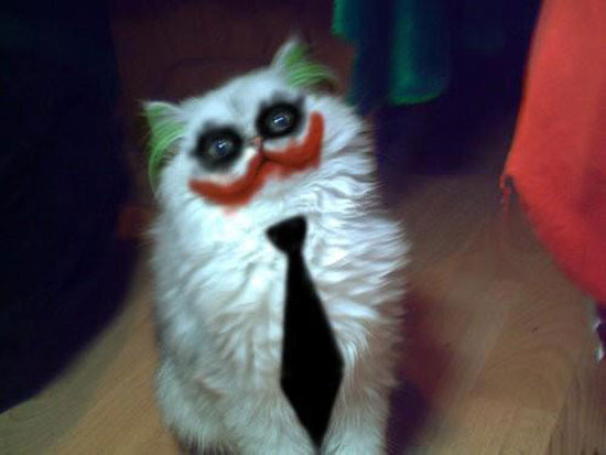 JokerCat