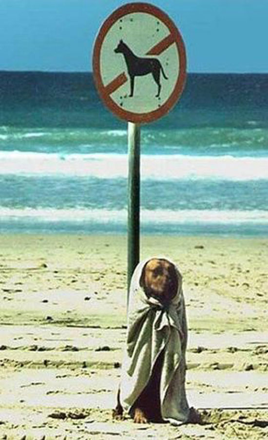 just act natural
