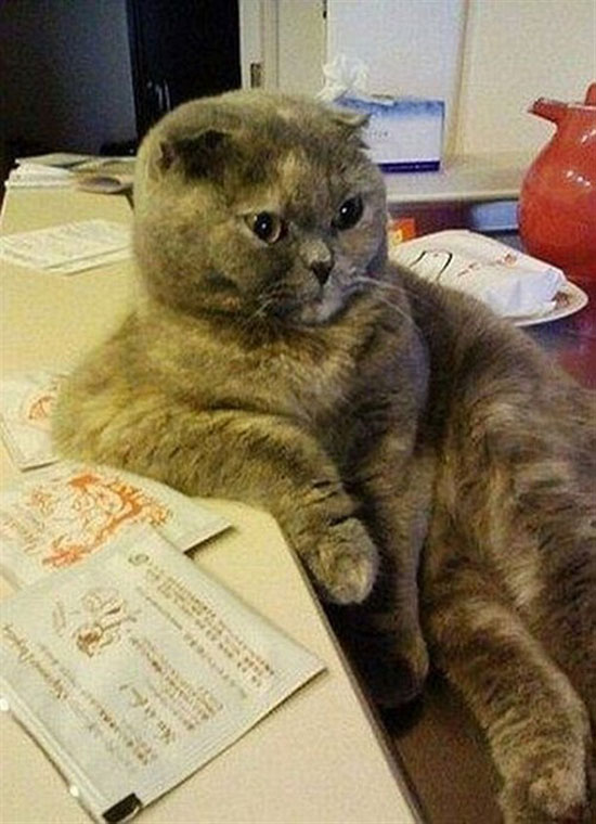 just chillin