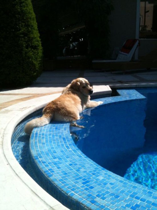 just chillin -