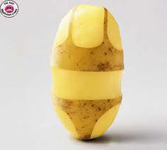 kartoffel bikini