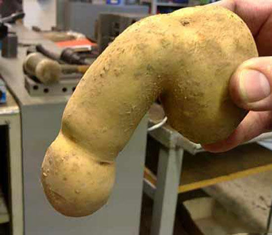 KartoffelPenis