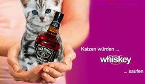 Katzen würden...