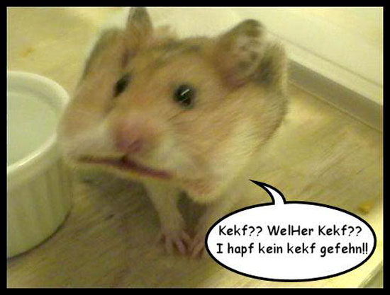 keinen-keks-gesehen