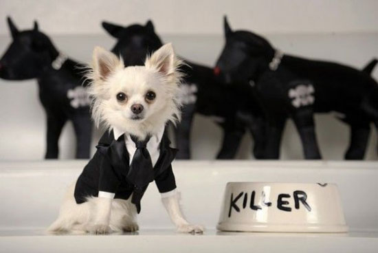 killer