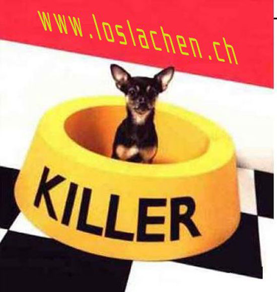 Killer killer killer