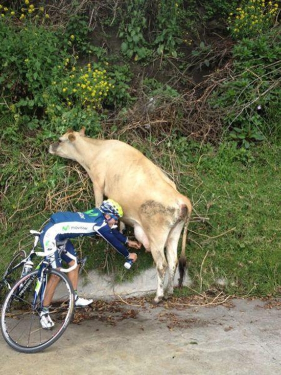 Kurze Erfrischung bei der Radtour - Win Bild