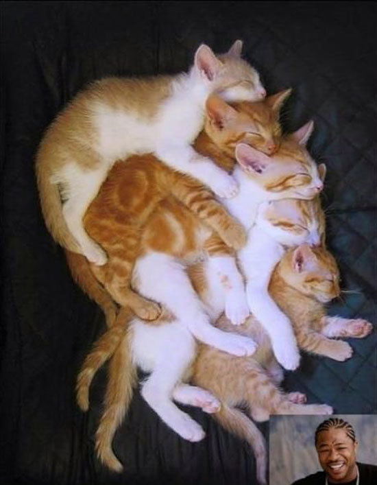 Kuscheln deluxe