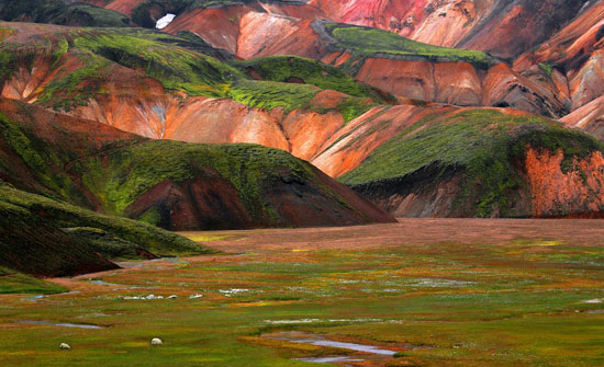 landscape extraschick