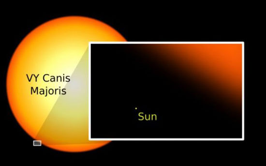 largest known star