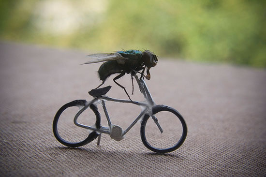 letz crive bicycle