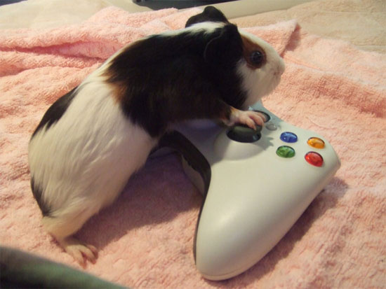 Letz play dude...