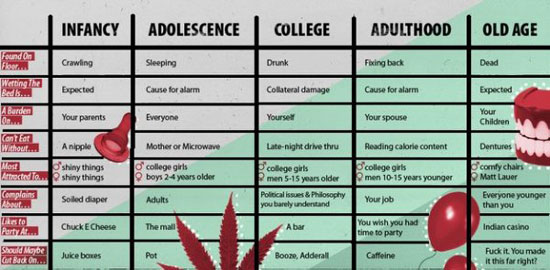 life stages and their funny effects