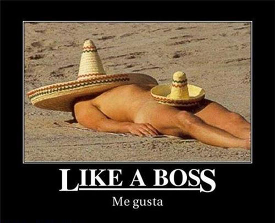 like a boss me gusta