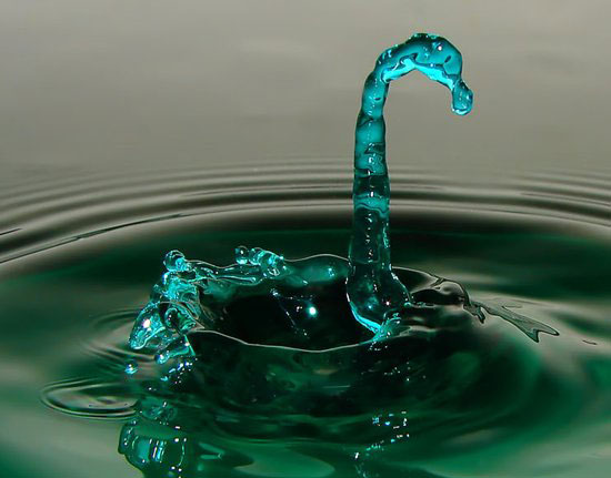liquid swan