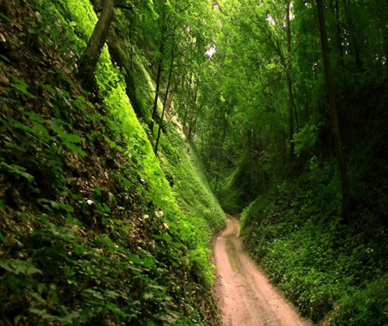 long way to home