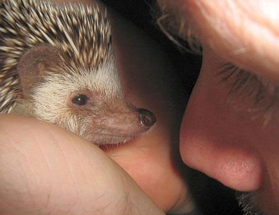 look into my eyes