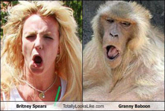looks like