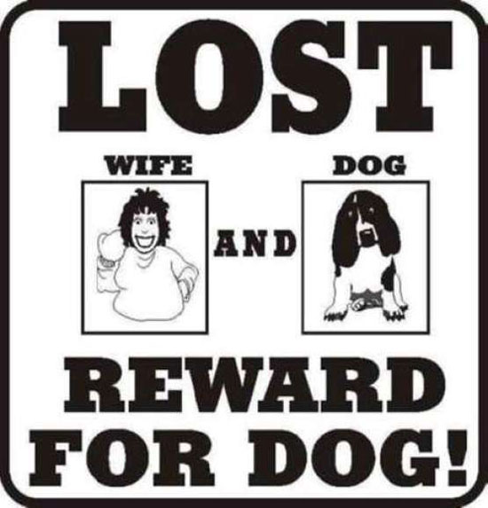 lost wife and dog