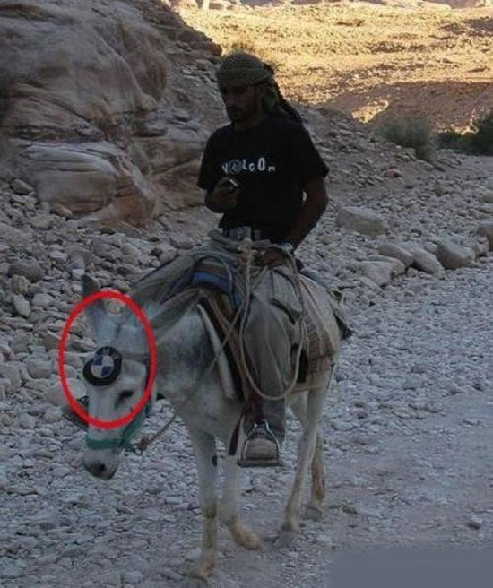 loving bmw