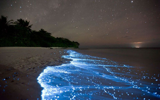 magic