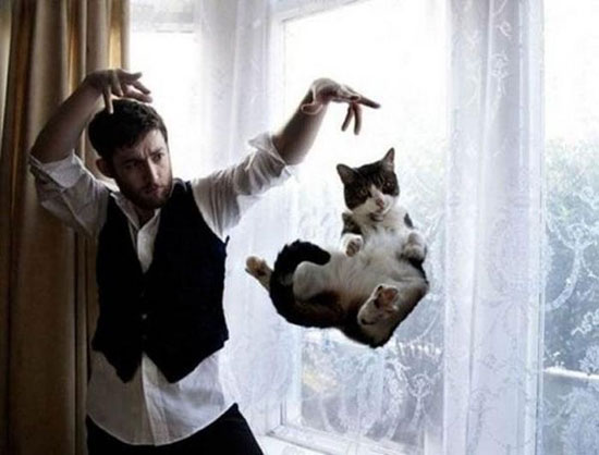 magical cat magier