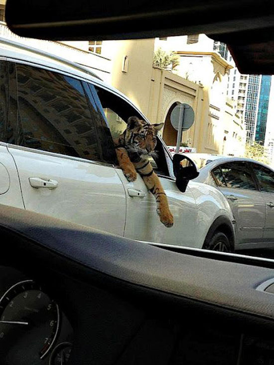 Meanwhile in Russia