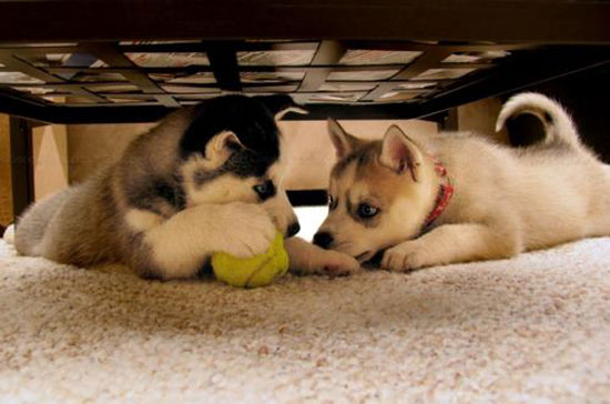 It`s Friday! Fuck this SHIT