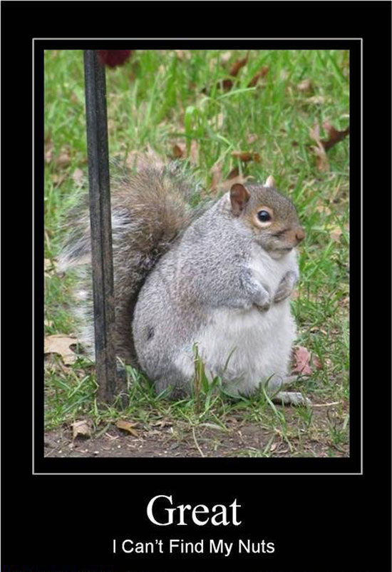 O_o