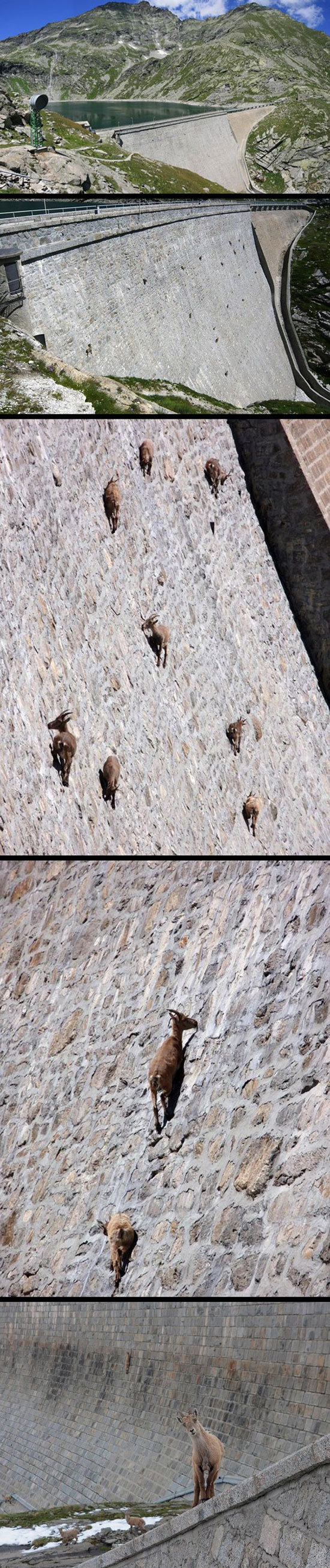 O_o