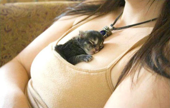 O_o