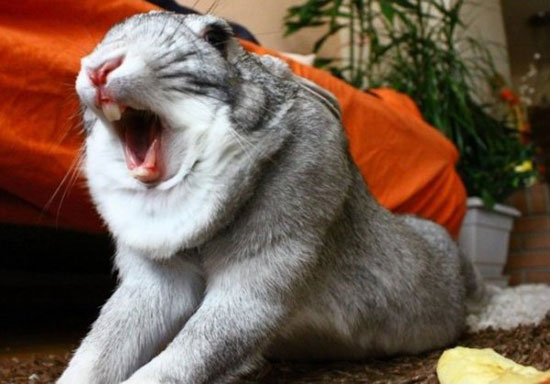 O_o