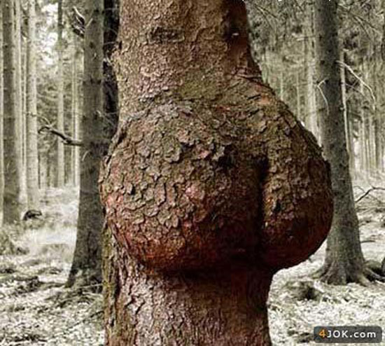 O_o