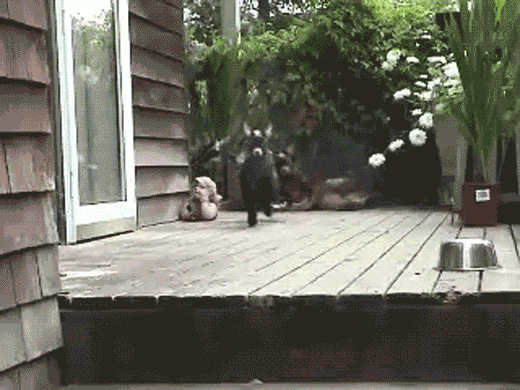 O_o