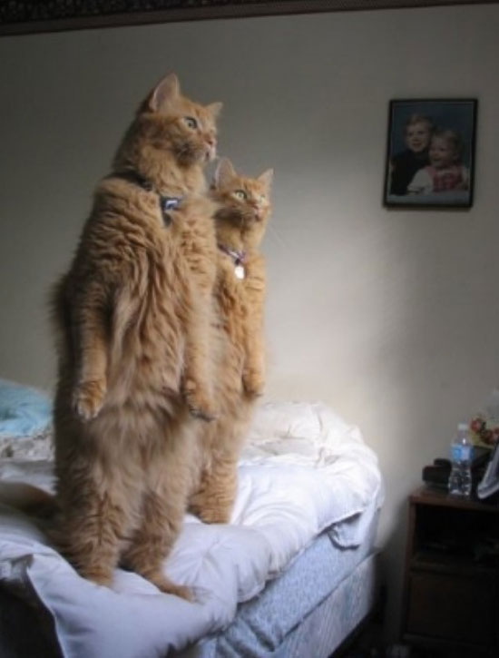O_o
