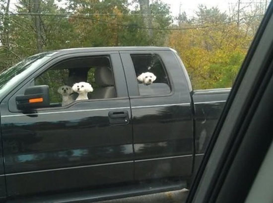 O_o