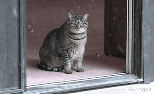 O_o