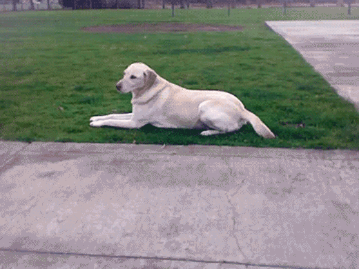 O_o