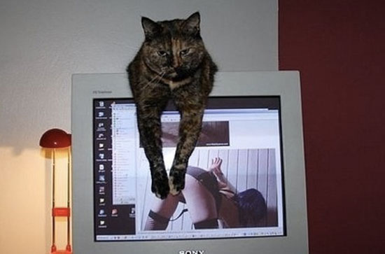 O_o
