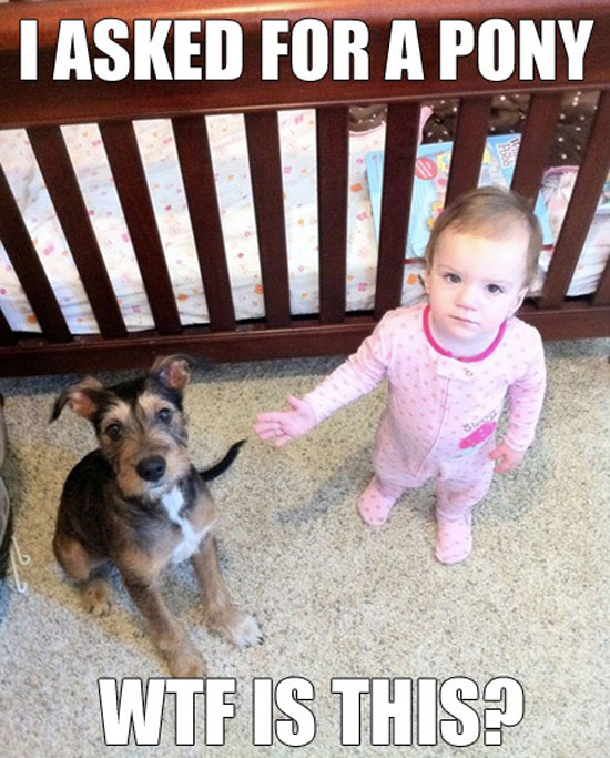 O_o