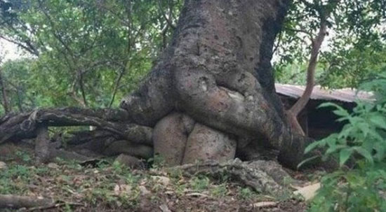 O_o