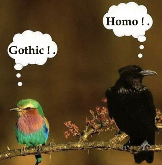 O_o