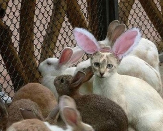 O_o