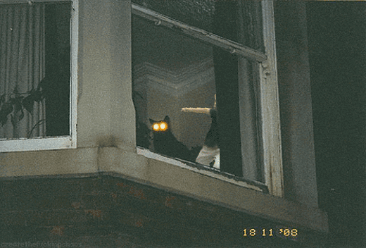 O_o