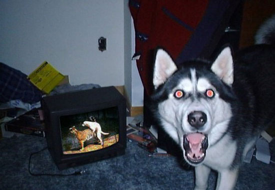 O_o