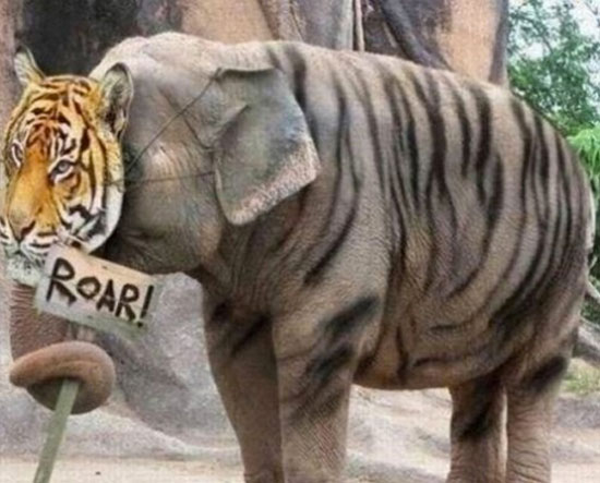 O_o
