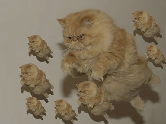 O_o