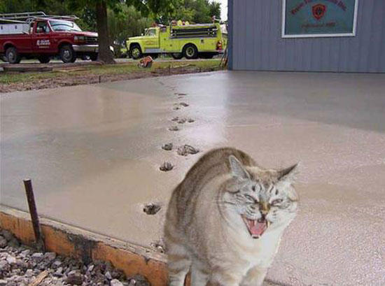 O_o